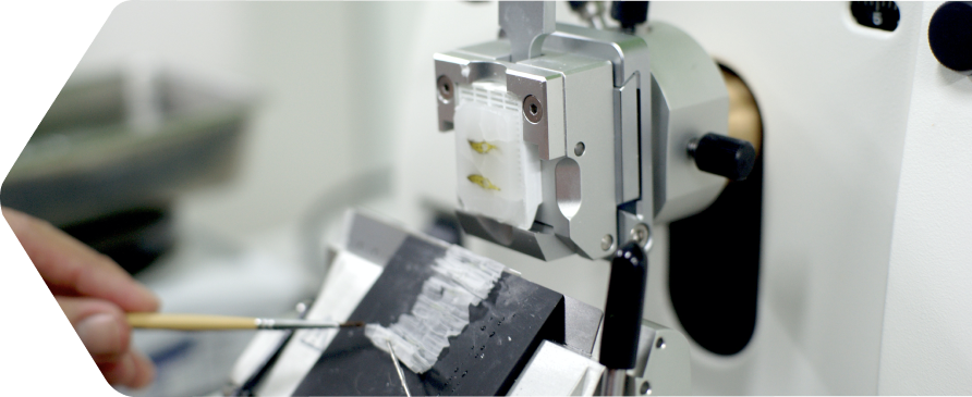 tissue sectioning, rotary microtome section