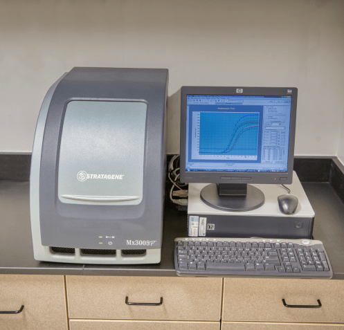 Real time PCR machine, spectrophotometer, vortexer, sample prep area